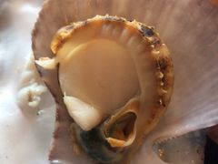 -浩运·海鲜青岛菜·海胆水饺(石老人店)
