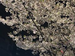 -杭州武林万怡酒店