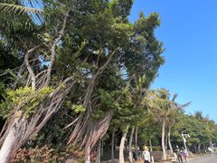 -深圳湾公园(南山区)