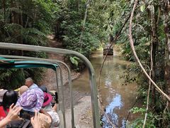 -热带雨林自然公园