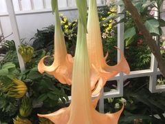 -东园小馆·早茶·淮扬小炒(印象汇店)