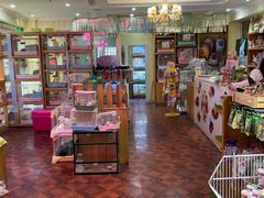 -宠物兔专门店(天丰利市场店)