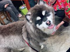 -老姐石板烧烤+铜炭火锅(总店)