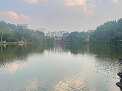 -曼听御花园