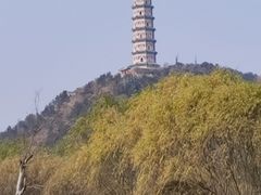 -北坞公园