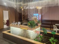 -宏宴·新京菜(望京店)