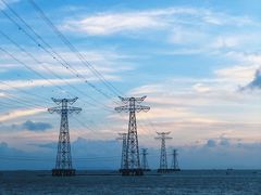 -宝安西湾红树林湿地公园