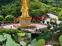 -广州莲花山旅游区