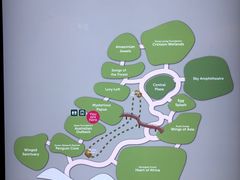 -新加坡飞禽公园