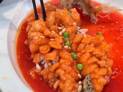 -丁老爷子苏香圆