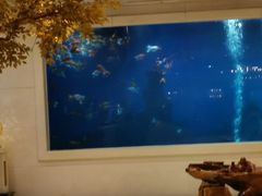 -鹏天阁酒楼·海鲜(红旗店)