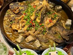 -老板恋上鱼(恒隆广场店)