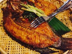 云海肴·云南菜(伊势丹店)-云海肴·汽锅鸡·云南菜(天津国金汇店)