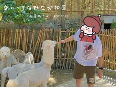 -栾川竹海野生动物园