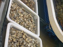 -大众海鲜(巨龙北路店)