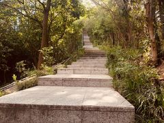 -小南山公园