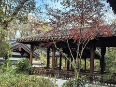 -西湖风景区十里琅珰-五云山