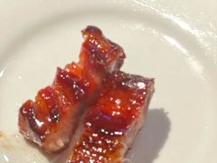 -食为先(Shark Fin)