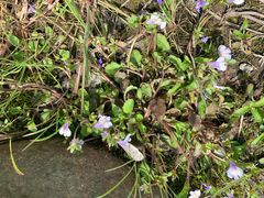 -白塘生态植物园