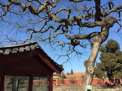 -景山公园