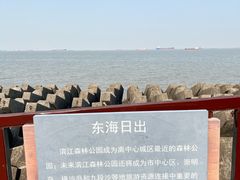 -上海滨江森林公园