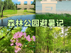 -上海共青森林公园