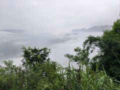 -蝶舞清江·恩施野三峡综合旅游区