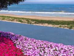 -日照灯塔风景区