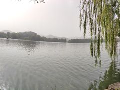 -苏堤停车场