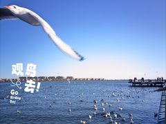 -包头南海湿地景区