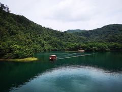 -鼎湖山风景区