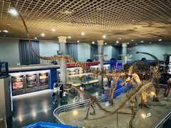 -国家自然博物馆