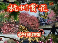 -中国茶叶博物馆(双峰馆区)