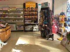 -小伙伴宠物医院•急重症转诊中心·老年专科·犬猫全科(北大街总院)