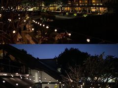 -喜洲吧·江畔老船厂·庭院餐厅(喜临院店)