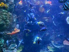 -海合安青岛极地海洋公园