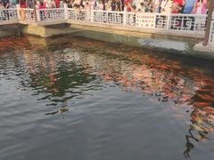 -长春市南湖公园