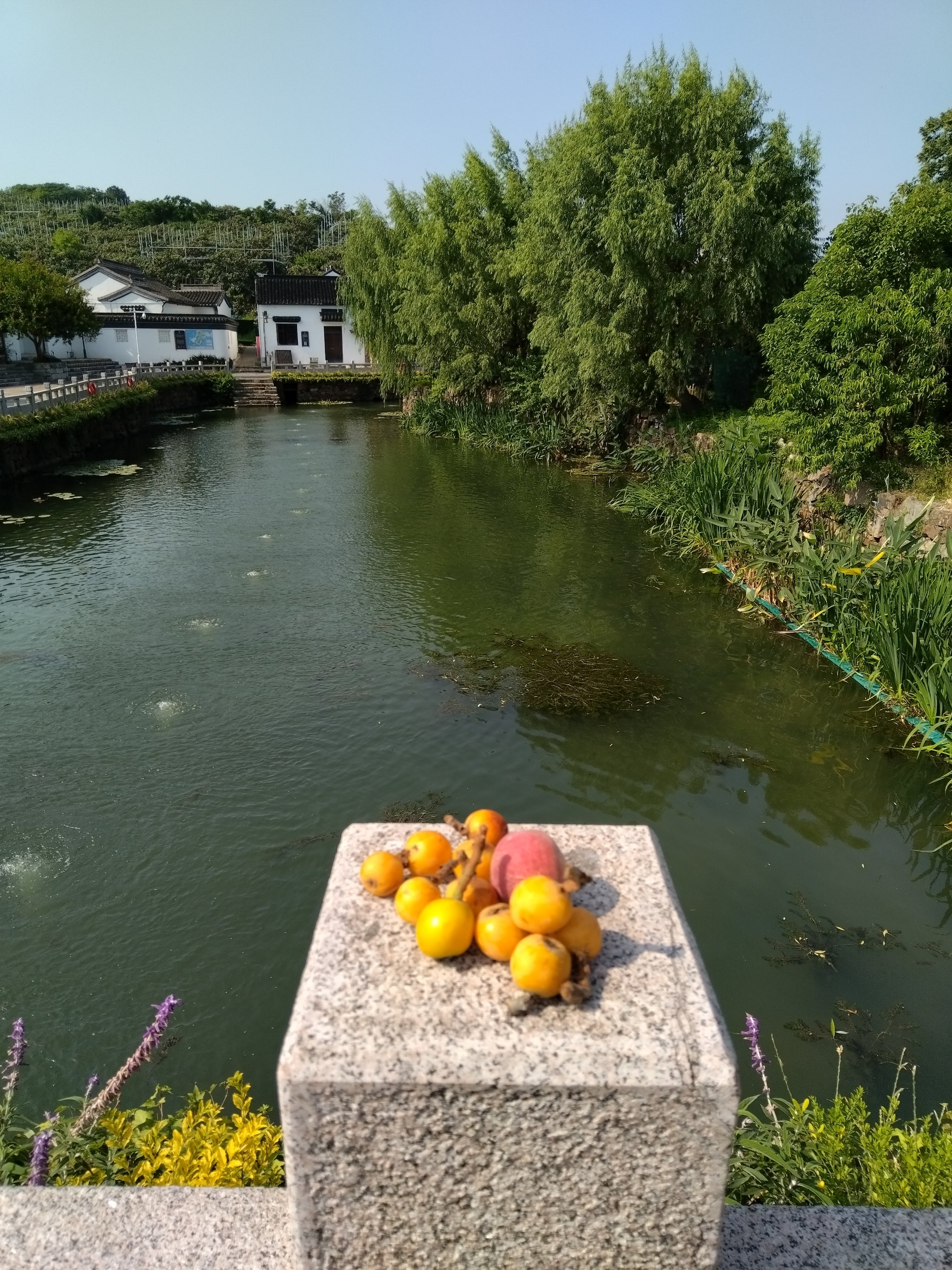 陆巷古村鸟瞰图图片