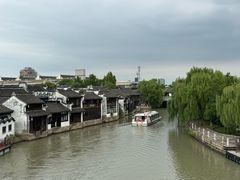 -真真老老(月河花鸟市场店)