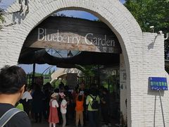 -金谷域澳洲庄园