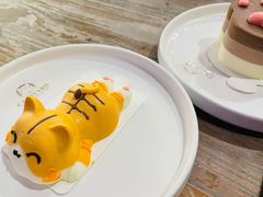 可盐可甜慵懒猫-猫小院猫主题餐厅(南锣旗舰店)