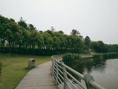 -美兰湖景区