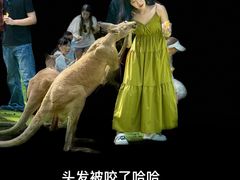 -泉州海丝野生动物世界