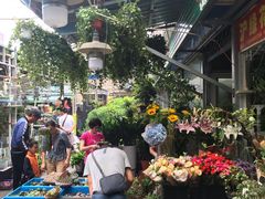-曲阳花鸟市场(曲阳路店)