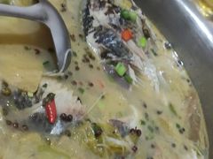 -风鑫铃罗非鱼(道沟店)