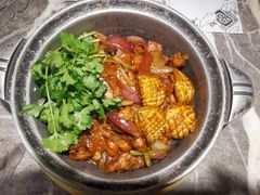 -禄婶鸡煲·打边炉