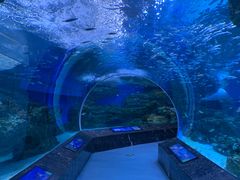 -海合安成都极地海洋公园