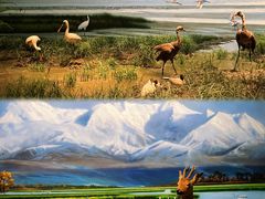 -中国湿地博物馆