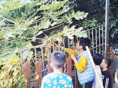 -洞背山庄(洞背院区式管理小区店)