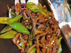 鹅杂-大鹅岛绿色生态美食园